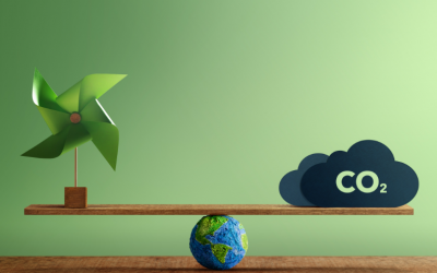 STUDIU REVEAL MARKETING RESEARCH: 55% dintre români sunt îngrijorați de efectele negative ale emisiilor de carbon